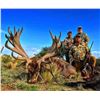 Image 3 : Big game hunt in Argentina with Catena Safaris