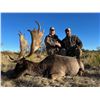 Image 5 : Big game hunt in Argentina with Catena Safaris