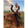 Image 1 : Namibian Hunt