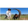 Image 2 : Namibian Hunt