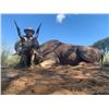 Image 3 : Namibian Hunt