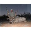 Image 4 : Namibian Hunt