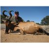 Image 6 : Namibian Hunt