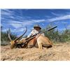 Image 7 : Namibian Hunt