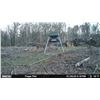 Image 1 : Whitetail hunt in Alabama