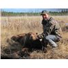 Image 1 : Black Bear Hunt in Northwest Territories