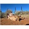 Image 10 : Plains game hunt with Diekie Muller Safaris.