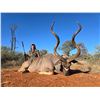 Image 11 : Plains game hunt with Diekie Muller Safaris.