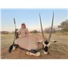 Image 12 : Plains game hunt with Diekie Muller Safaris.
