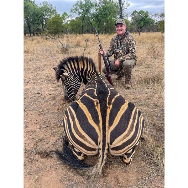 Plains game hunt with Diekie Muller Safaris.