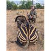 Image 1 : Plains game hunt with Diekie Muller Safaris.