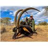 Image 3 : Plains game hunt with Diekie Muller Safaris.