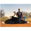 Image 4 : Plains game hunt with Diekie Muller Safaris.