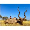 Image 5 : Plains game hunt with Diekie Muller Safaris.