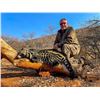 Image 6 : Plains game hunt with Diekie Muller Safaris.