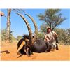 Image 9 : Plains game hunt with Diekie Muller Safaris.