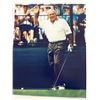Image 1 : Arnold Palmer photo
