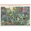 Image 1 : 2010 Hawaiian Rain Forest stamp set of 9