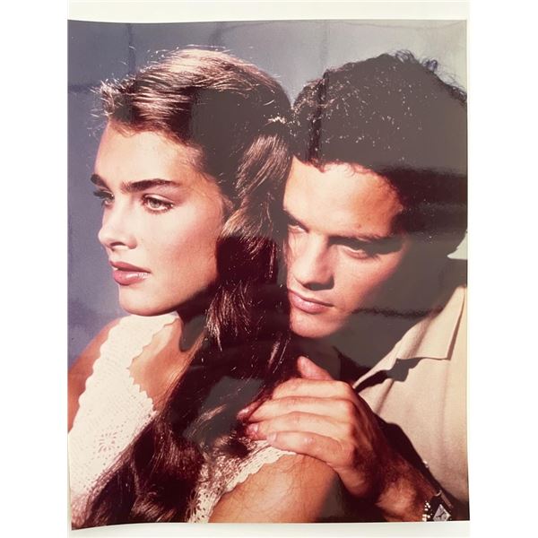 Endless Love Brooke Shields and Martin Hewitt movie photo