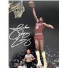 Image 1 : Philadelphia 76ers Julius Erving signed photo