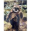 Image 1 : Star Wars Warwick Davis signed photo
