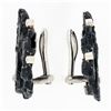 Image 6 : Sarah Graham Cobalt Chrome & 18k White Gold Manzanita Bark Diamond Post Earrings