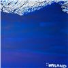 Image 2 : Untitled by Wyland Original