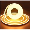 Image 1 : Neon LED Strip Light 12V DC Warm White Without Power Adapter