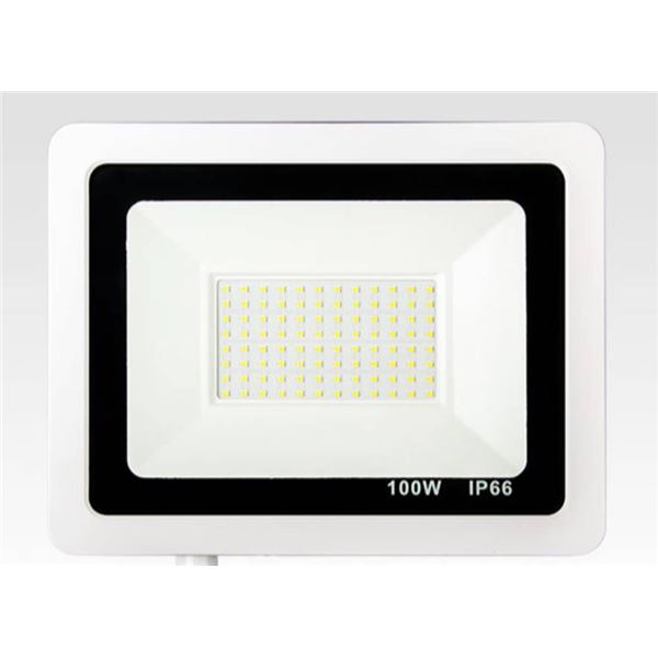 LED Flood Light, Small Apple Series, 100W, Warm White, IP66