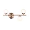 Image 1 : Carnam Poppy 3-Light Gold Metal Wall Sconce