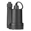 Image 1 : Leo Utility Pump 1/3 HP 8160 L/H 115V