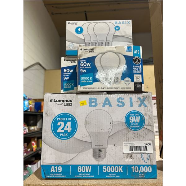 Luminus LED A19 Light Bulbs 9W 60W Equivalent, 24, 4, 3 Packs 5000K Daylight