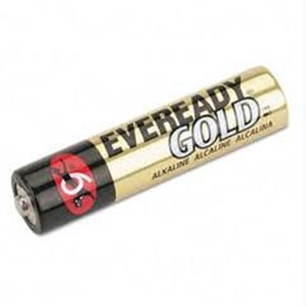 Eveready Gold AAA Alkaline Batteries – 12 Packs