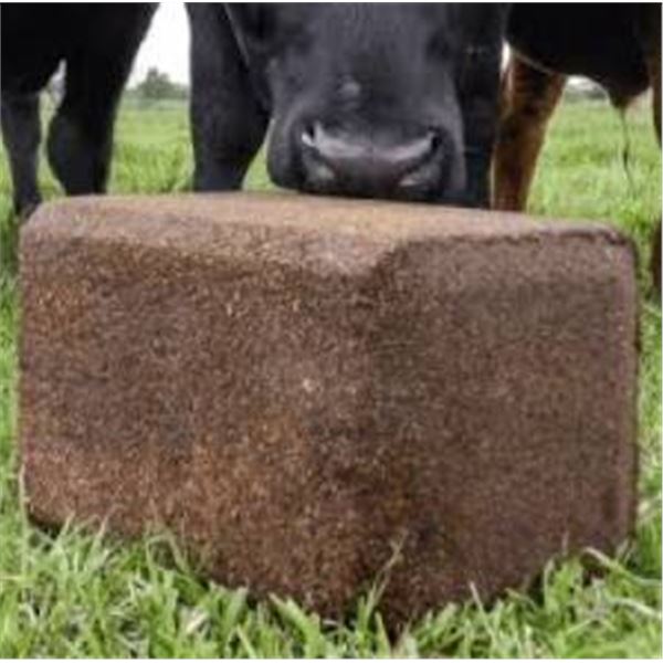 CO-OP 20 Kilogram Cattle Range Mineral Block