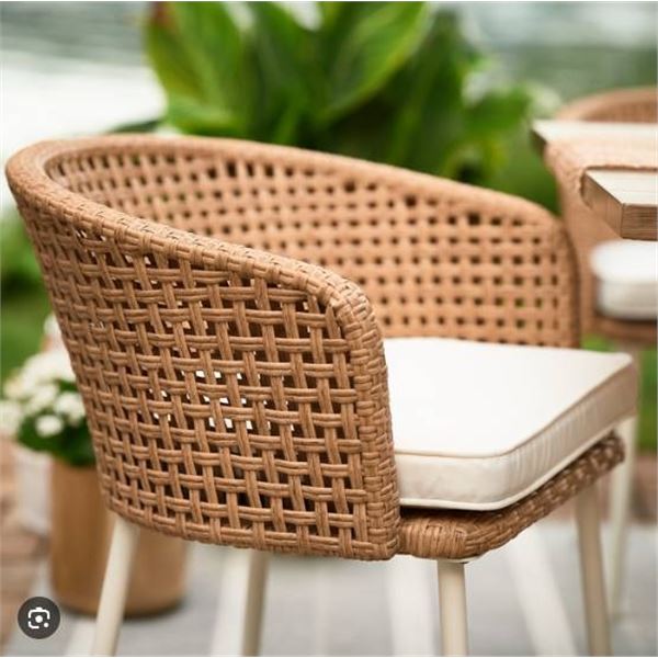 2 Wicker and Metal Chairs With Cushion Components
