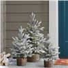 Image 1 : 3 Artificial Frosted Pine Trees in Wicker Baskets