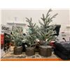Image 2 : 3 Artificial Frosted Pine Trees in Wicker Baskets