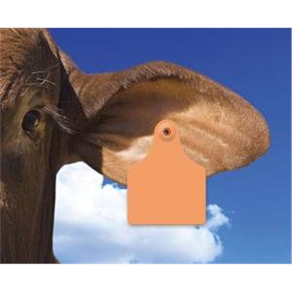 Allflex Tag System Livestock Ear Tags, 25 Count LOT OF 3 (75 TOTAL)