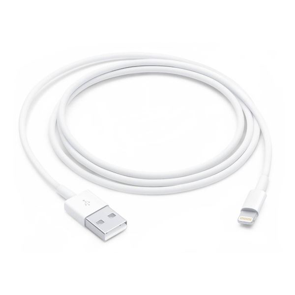 Apple Lightning to USB Cable (1m) – Lot of Two