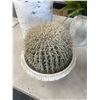 Image 3 : Artificial Plants with Assorted Decorative Vessels