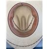 Image 3 : Palm Straw Western Hat with Leather Band Gus Plata Palm Design