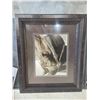 Image 1 : Framed Photograph Of A Horse With Decorative Harness 25 x 21 Inches