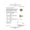 Image 7 : Platinum Fancy Yellow Diamond Ring