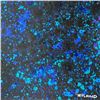 Image 2 : Untitled by Wyland Original