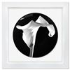 Image 1 : Calla Lily (1988) by Robert Mapplethorpe (1946-1989)