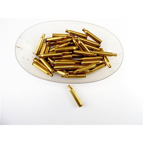 NEW NON-PRIMED WINCHESTER .25-06 REM BRASS CASES LOT