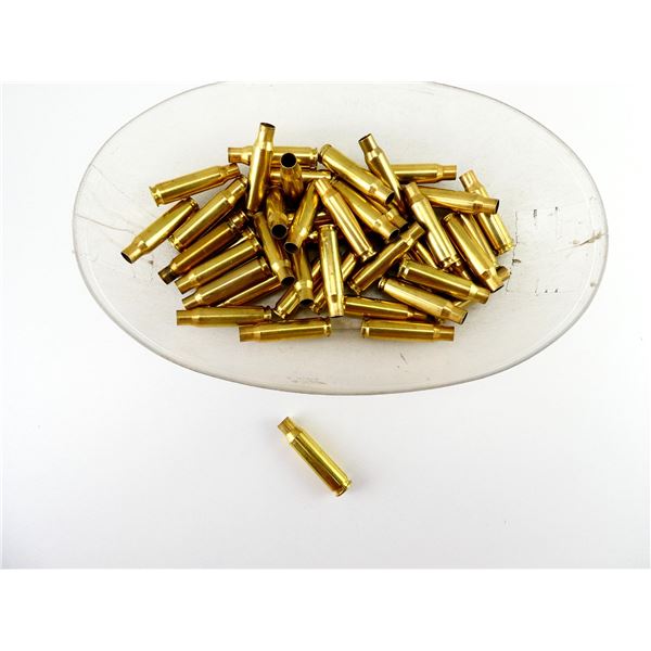 NON-PRIMED ASSORTED .308 WIN BRASS CASES LOT