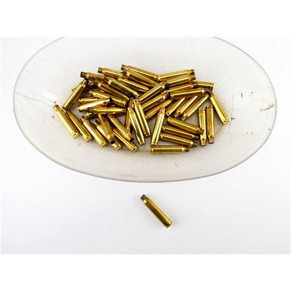 NON-PRIMED WINCHESTER .223 REM BRASS CASES LOT