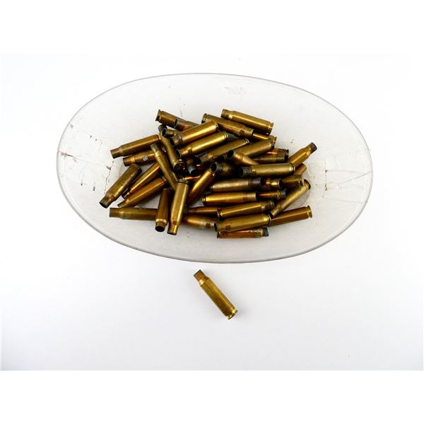 NON-PRIMED ASSORTED .308 WIN BRASS CASES LOT