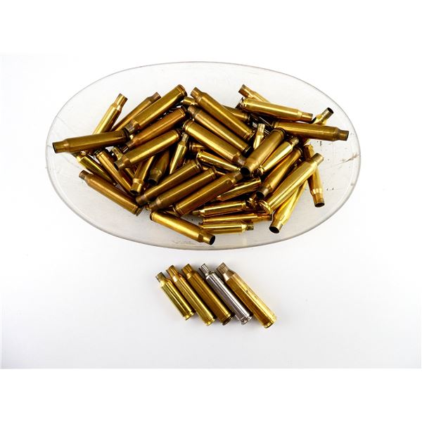 NON-PRIMED ASSORTED BRASS AND NICKEL CASES LOT